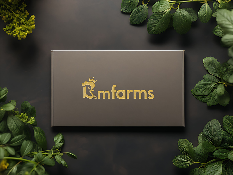 Our Recent Works Images