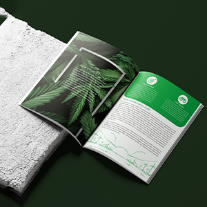 Our Recent Works Images 