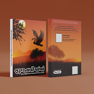 Our Recent Works Images